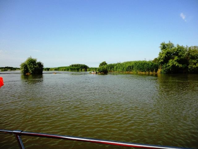 Doar ... NATURA - 3 - dsc09957.JPG